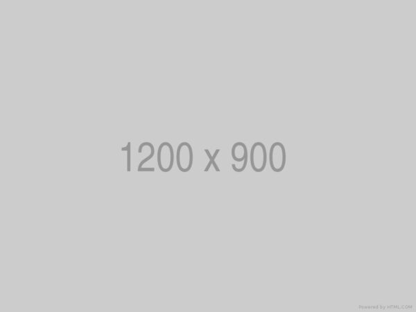Token Queue Management System - Image 3