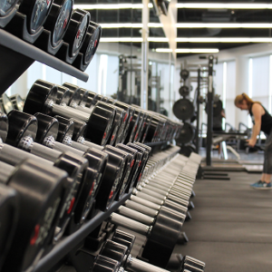 Gym & Fitness Management System